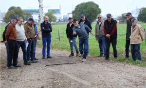 &copy;Ad Adriaans, Brabants Dagblad